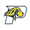 Pace University